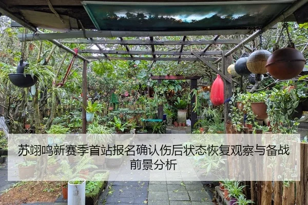 苏翊鸣新赛季首站报名确认伤后状态恢复观察与备战前景分析